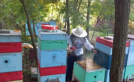 Corteva sprijină câștigătoarea TalentA să creeze un Bee Paradise - agroexpert.md