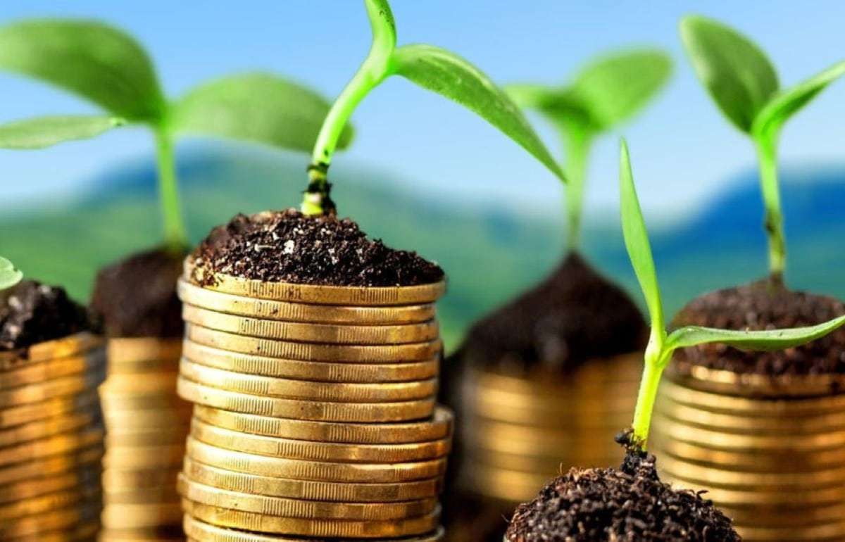 Более 51 млн леев направлены на поддержку аграриев и сельских территорий - agroexpert.md
