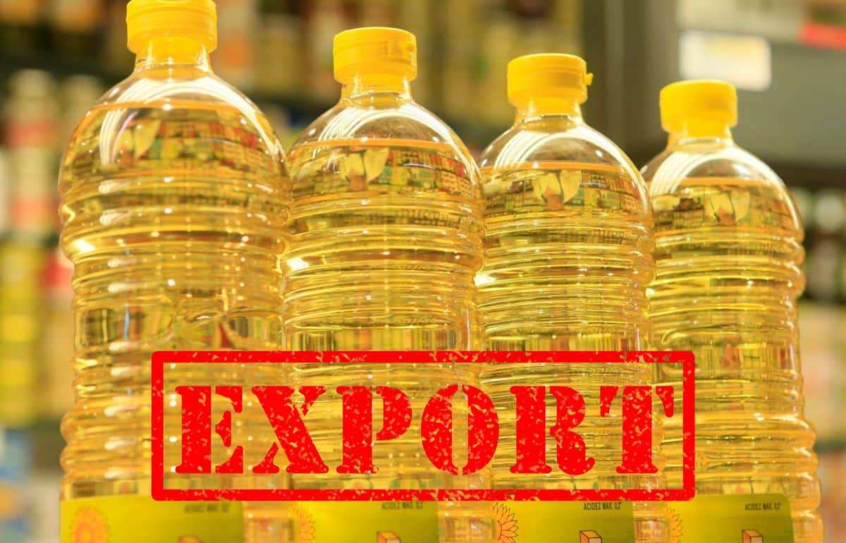 По итогам сезона Украина значительно снизила экспорт подсолнечного масла - agroexpert.md