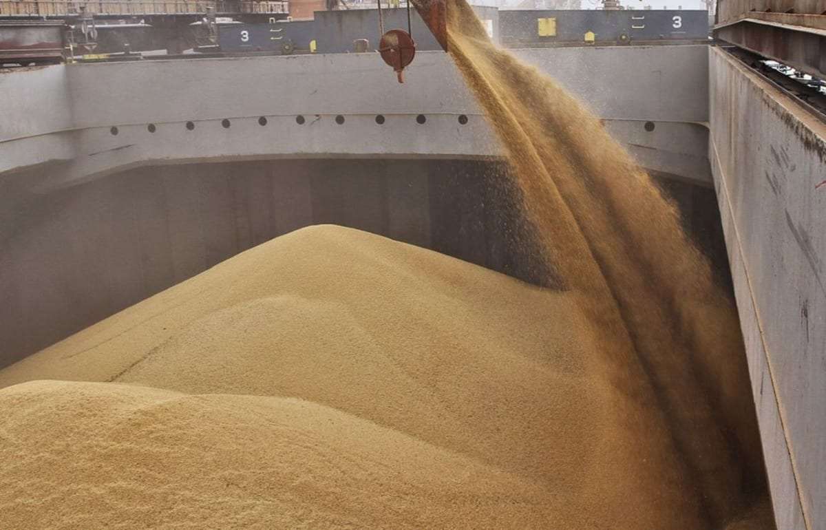 Экспортные цены на пшеницу в Украине снижаются - agroexpert.md