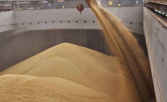Экспортные цены на пшеницу в Украине снижаются - agroexpert.md