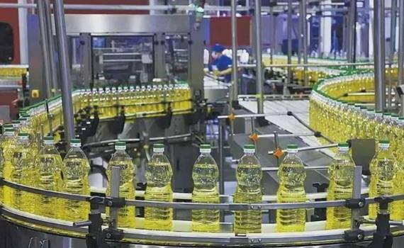 Прогноз мирового производства и запасов подсолнечного масла снижен - agroexpert.md