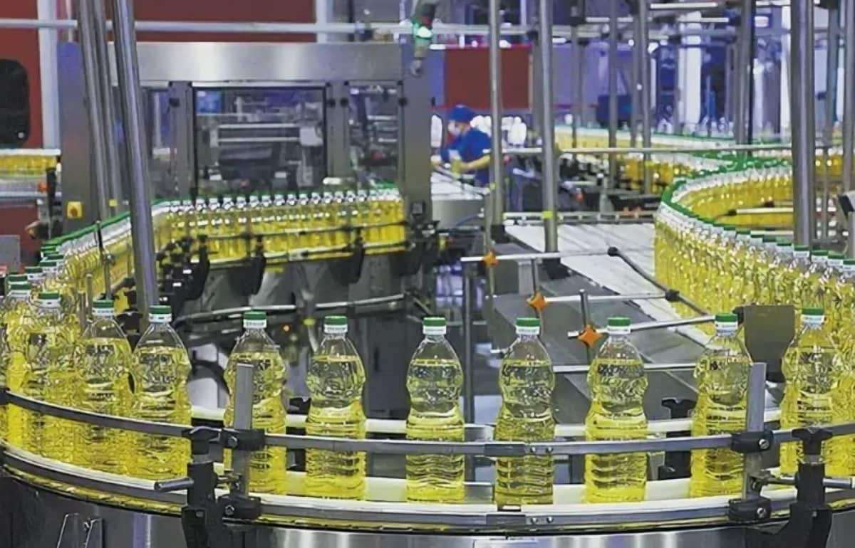 Прогноз мирового производства и запасов подсолнечного масла снижен - agroexpert.md