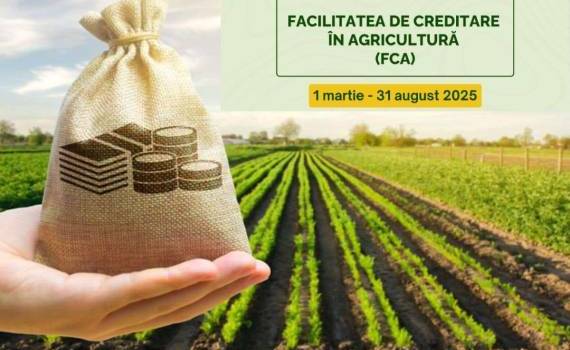 В Молдове 117 агропредприятий получили финансирование по программе FCA - agroexpert.md