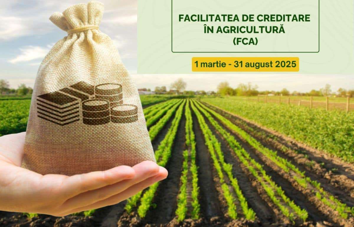 В Молдове 117 агропредприятий получили финансирование по программе FCA - agroexpert.md