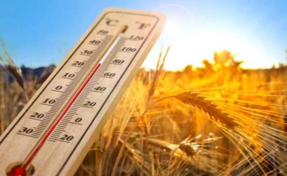 Дожди в Европе и засуха в Причерноморье: глобальный аграрный прогноз - agroexpert.md