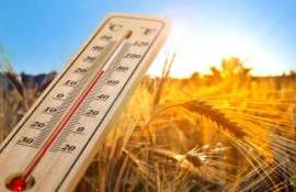 Дожди в Европе и засуха в Причерноморье: глобальный аграрный прогноз - agroexpert.md