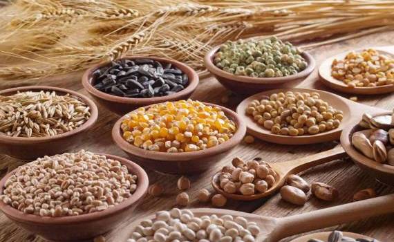 export cereale, grâu, UE - AGROEXPERT.MD