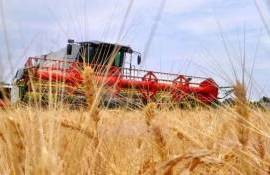 Молдова и Израиль договорились о совместном выращивании пшеницы - agroexpert.md