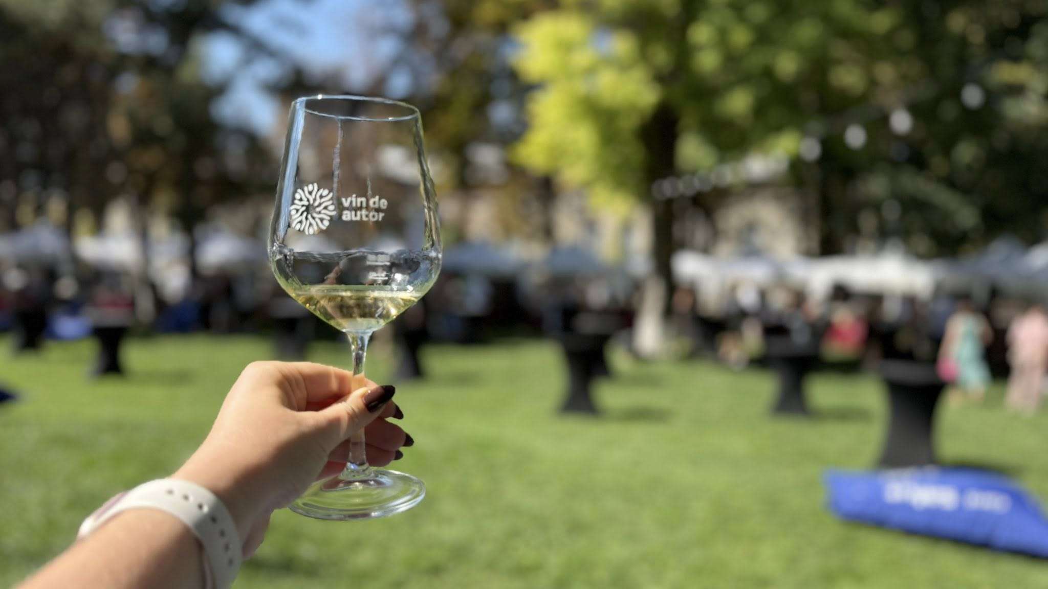 Micii producători te invită la Festivalul Vinului de Autor - agroexpert.md