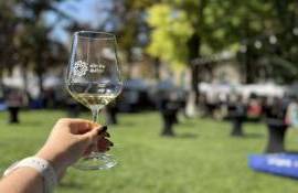Micii producători te invită la Festivalul Vinului de Autor - agroexpert.md