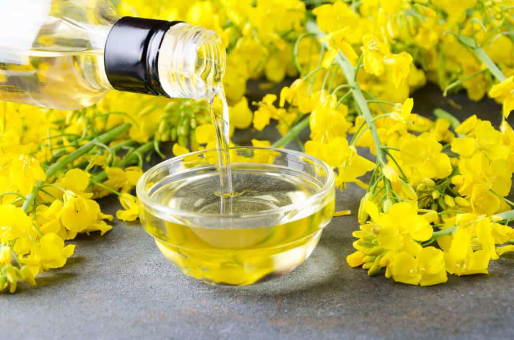 debutul exporturilor de ulei rapiță din R. Moldova - agroexpert.md