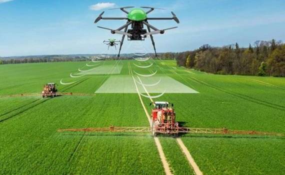 ИИ поможет фермерам распознавать сорняки на полях - agroexpert.md
