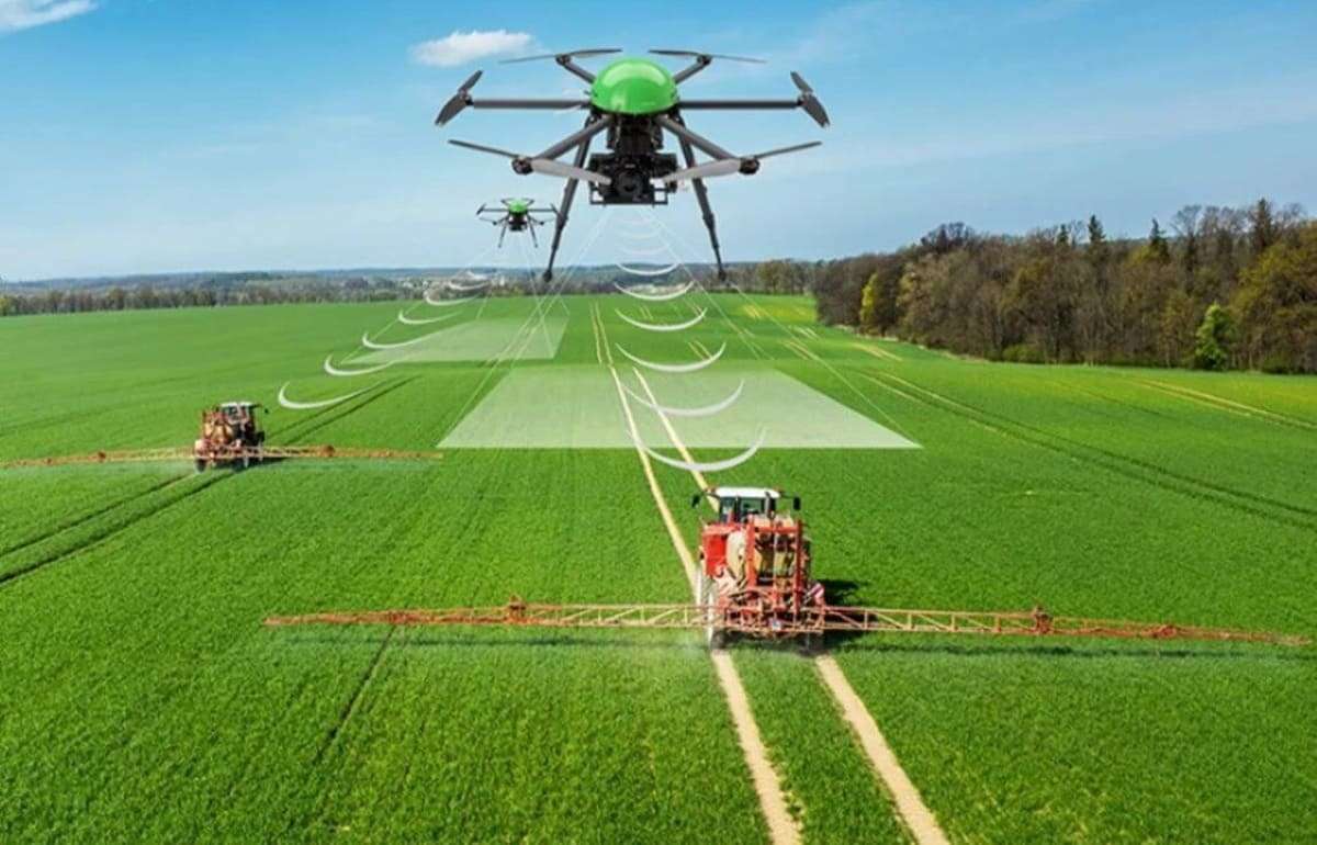 ИИ поможет фермерам распознавать сорняки на полях - agroexpert.md