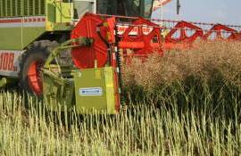 Как британский фермер достиг чемпионского урожая озимого рапса - agroexpert.md