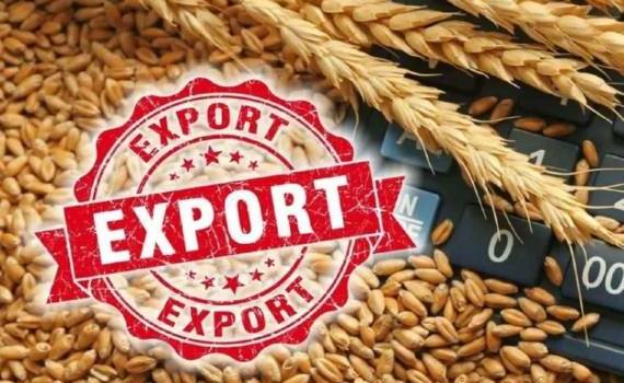 Экспорт пшеницы: почему сентябрь — окно возможностей - agroexpert.md