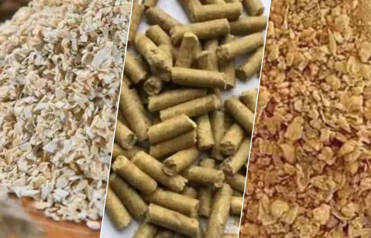 Торговля побочной продукцией пищевой промышленности Молдовы — август 2025 - agroexpert.md