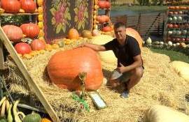 Рекорд Молдовы: тыква весом 615 кг выращена в 2025 году - agroexpert.md