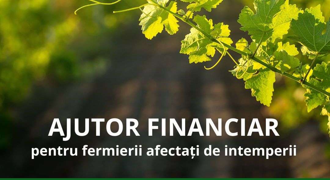 Fermierii pot cere sprijin pentru pagubele din primăvara 2025 - agroexpert.md