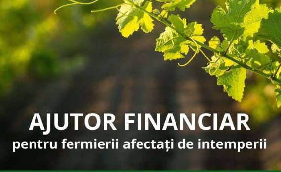 Fermierii pot cere sprijin pentru pagubele din primăvara 2025 - agroexpert.md