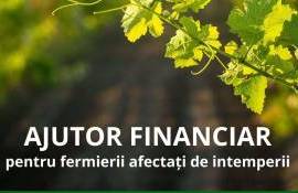 Fermierii pot cere sprijin pentru pagubele din primăvara 2025 - agroexpert.md