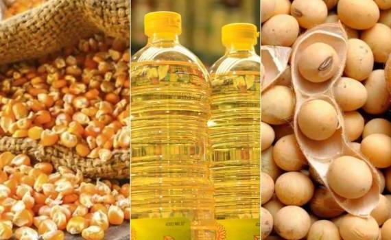 Украинский импорт агропродукции в Турцию постепенно увеличивается - agroexpert.md