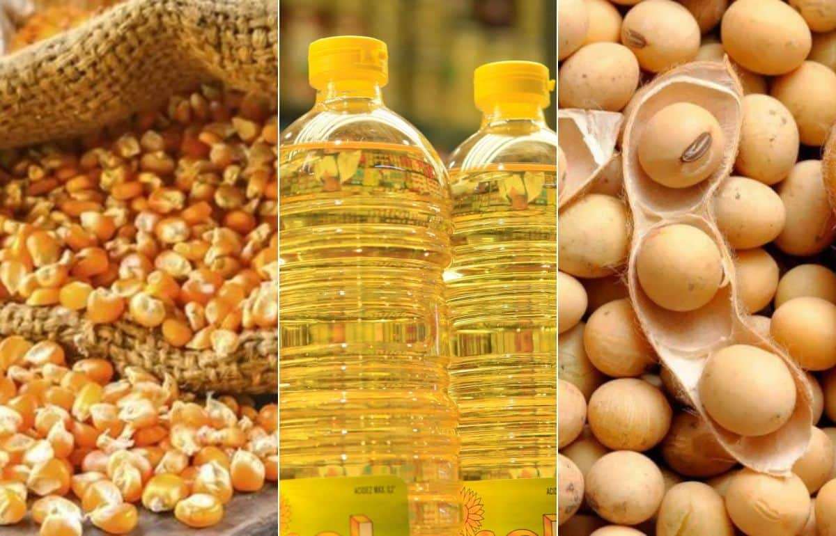 Украинский импорт агропродукции в Турцию постепенно увеличивается - agroexpert.md