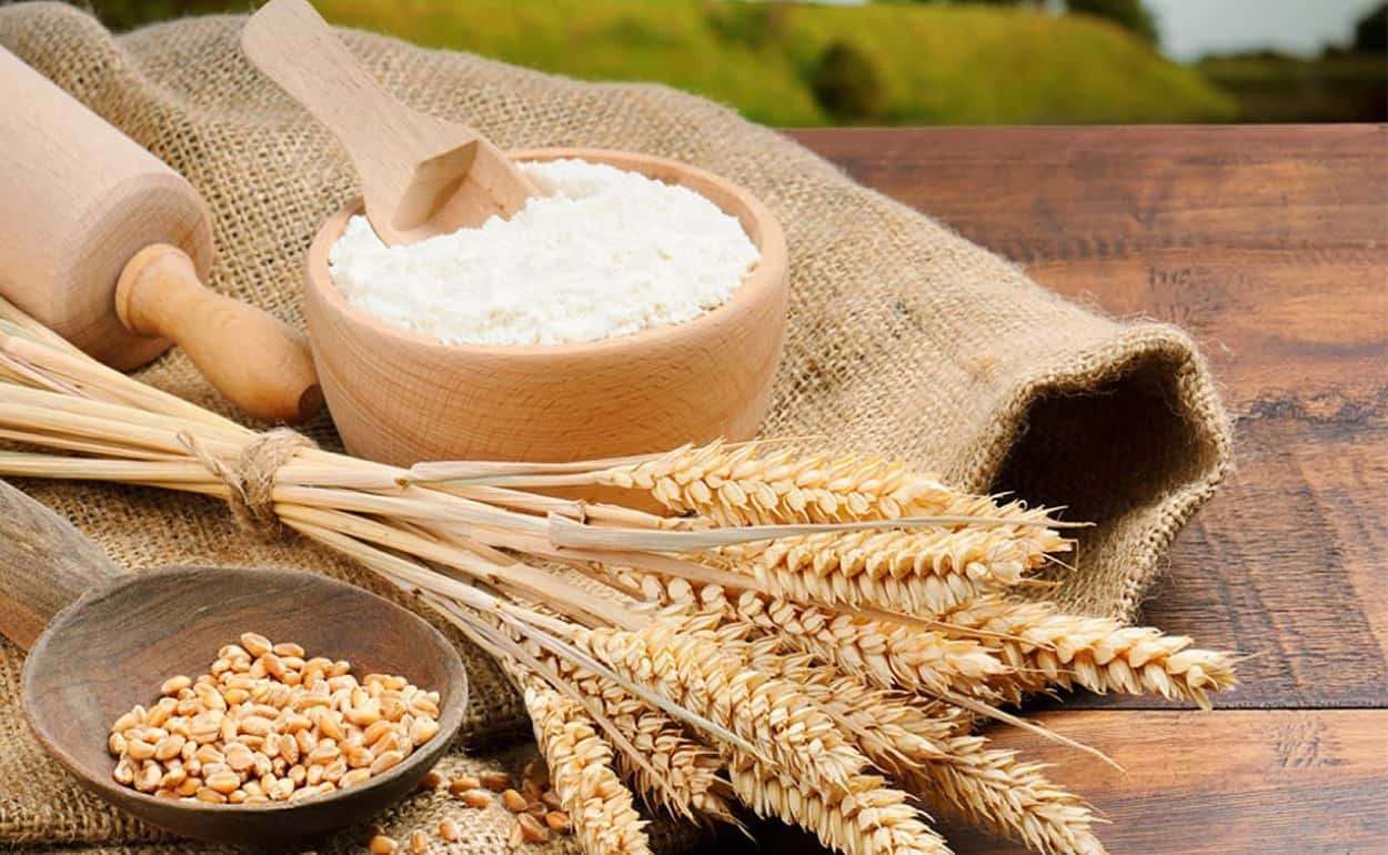 Экспорт продукции переработки зерновых культур из РМ в августе 2025 года - agroexpert.md