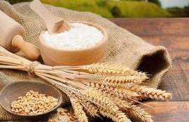 Экспорт продукции переработки зерновых культур из РМ в августе 2025 года