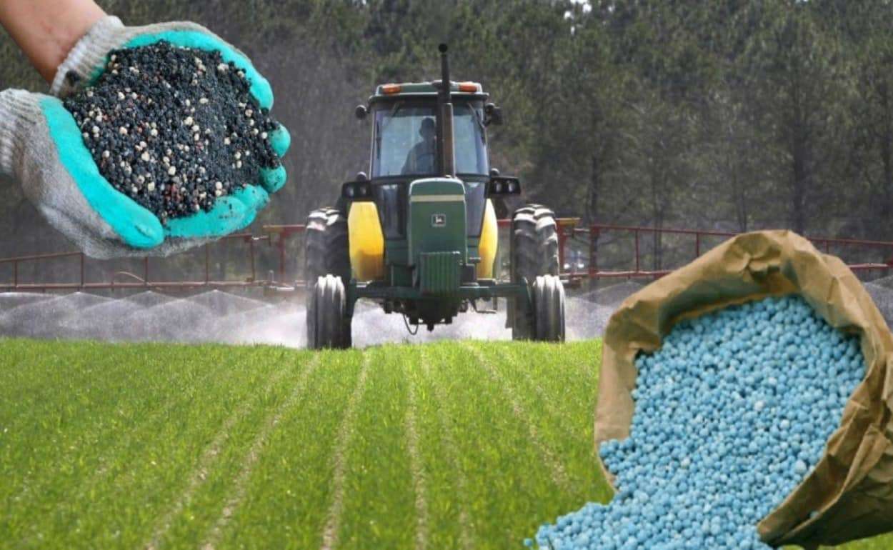 Рост цен на удобрения подстегивают инфляцию на продовольственном рынке - agroexpert.md