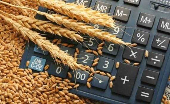 Низкие цены в 2026 году снижают рентабельность полевых культур в ЕС  - agroexpert.md
