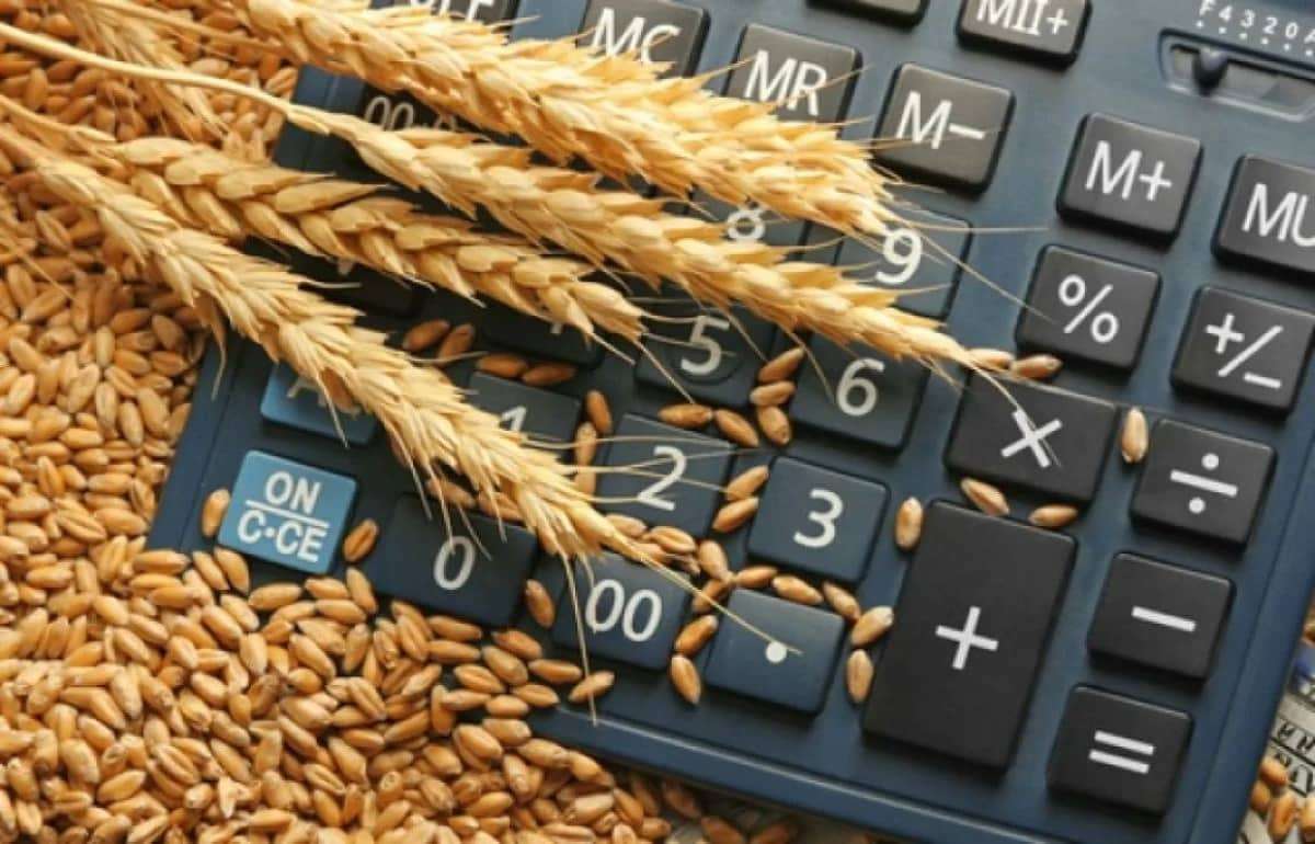 Низкие цены в 2026 году снижают рентабельность полевых культур в ЕС - agroexpert.md