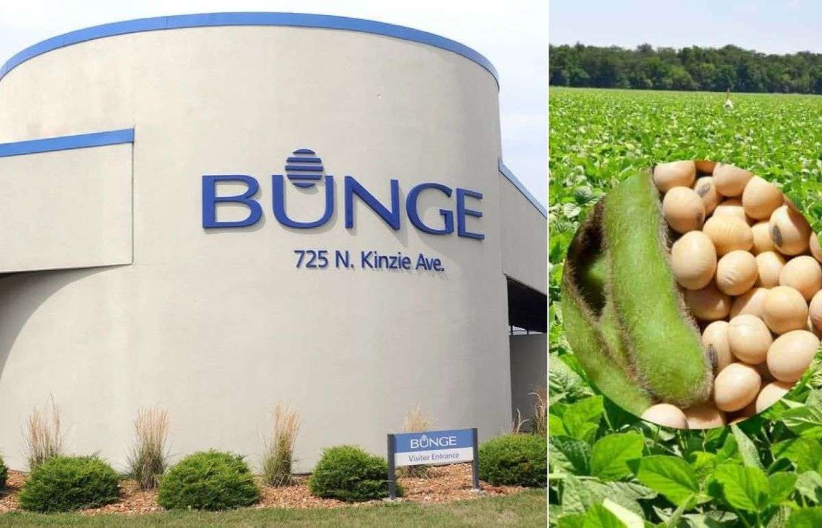 Bunge смотрит на торговлю соей через блокчейн - agroexpert.md