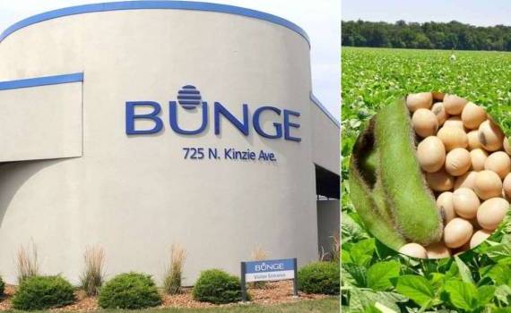 Bunge смотрит на торговлю соей через блокчейн - agroexpert.md