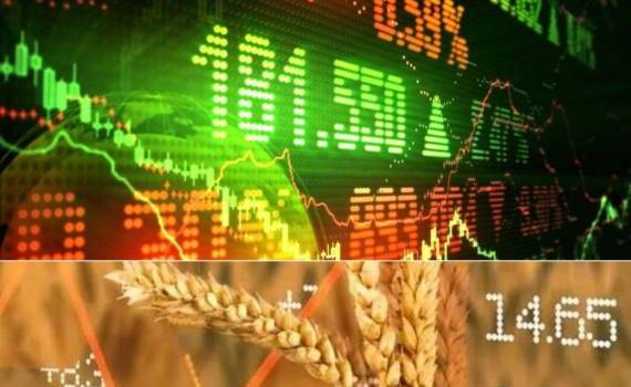 Отмена пошлин в Аргентине обвалила рынок пшеницы в США - agroexpert.md