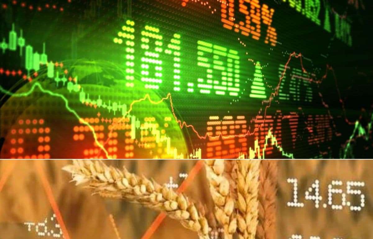 Отмена пошлин в Аргентине обвалила рынок пшеницы в США - agroexpert.md