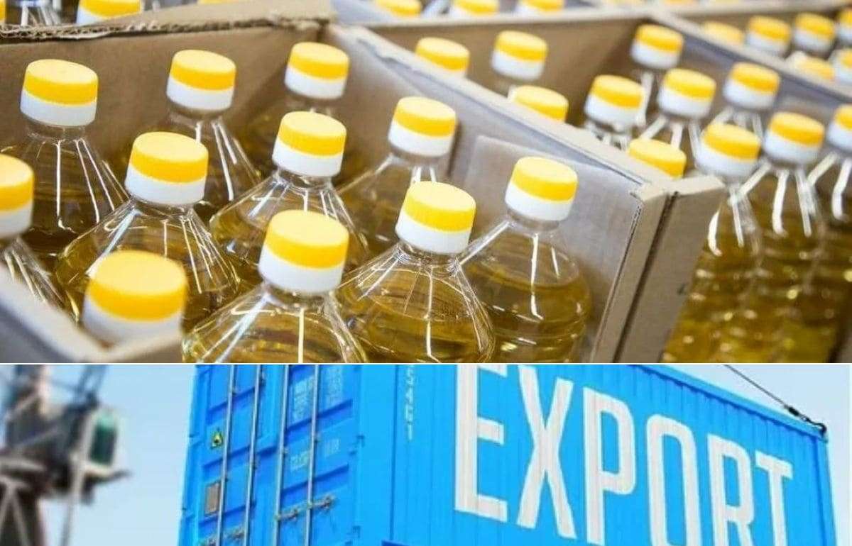 Анализ экспорта растительных масел из Молдовы в августе 2025 года - agroexpert.md