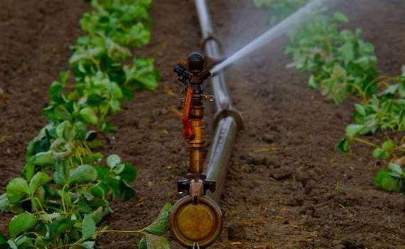 infrastructura de irigații vor ajunge în gestiunea MAIA - agroexpert.md
