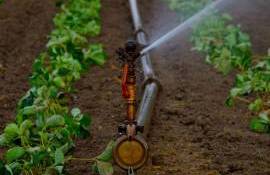 infrastructura de irigații vor ajunge în gestiunea MAIA - agroexpert.md