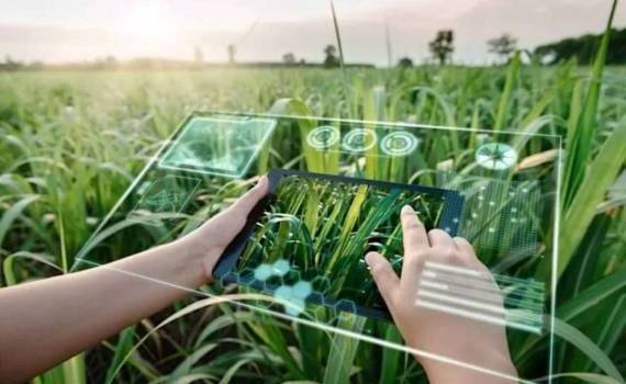 Система AKIS для фермеров РМ — новый цифровой информационный ресурс - agroexpert.md