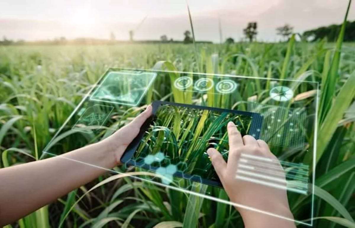 Система AKIS для фермеров РМ — новый цифровой информационный ресурс - agroexpert.md