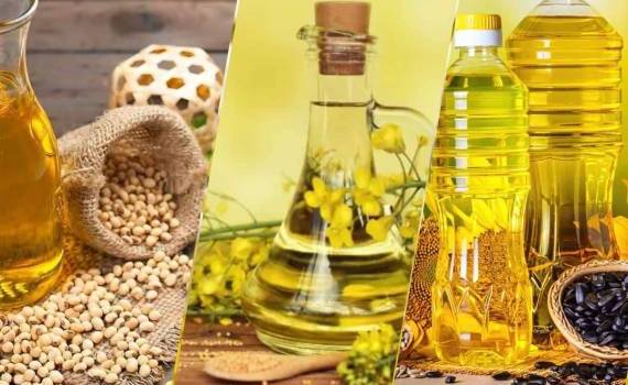 Мировой спрос толкает вверх экспорт растительных масел в 2025/26 МГ - agroexpert.md