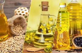 Мировой спрос толкает вверх экспорт растительных масел в 2025/26 МГ - agroexpert.md