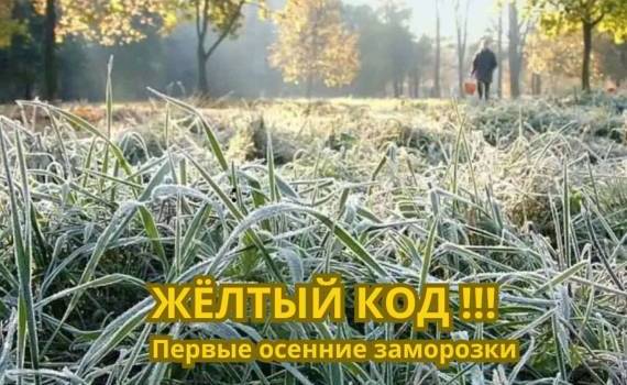 Гидрометеослужба предупреждает о заморозках: аграриям рекомендованы меры защиты - agroexpert.md