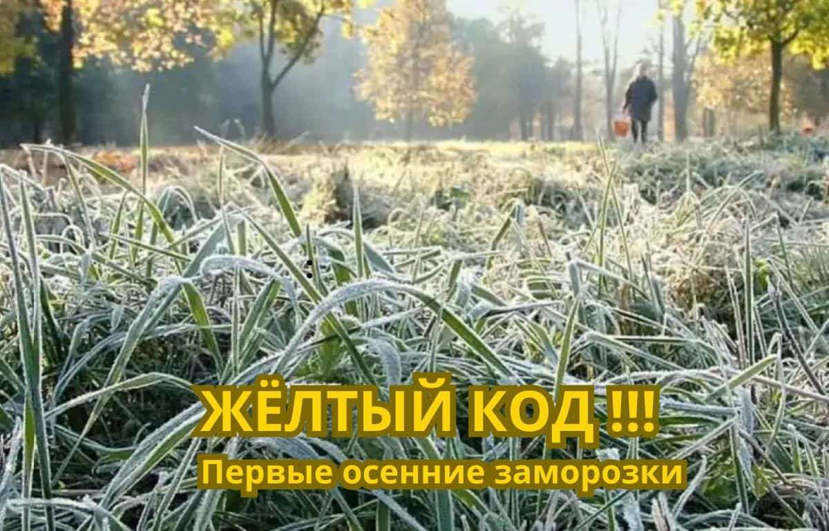 Гидрометеослужба предупреждает о заморозках: аграриям рекомендованы меры защиты - agroexpert.md