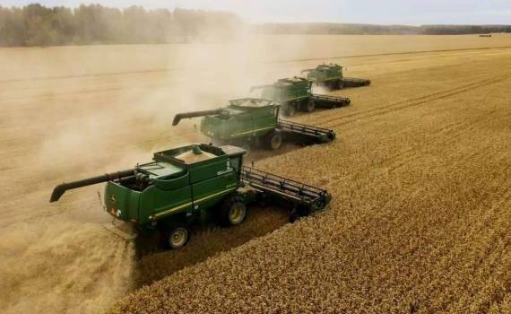 Как отразится рекордный урожай российских зерновых на мировых рынках - agroexpert.md