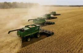 Как отразится рекордный урожай российских зерновых на мировых рынках - agroexpert.md