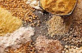 Moldova își diversifică exporturile: primele livrări de sorg către UE - agroexpert.md