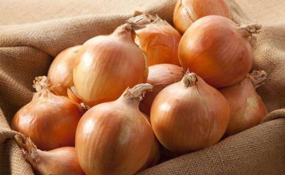 Цены на лук летят вниз: Молдавские фермеры бьют тревогу - agroexpert.md