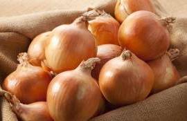 Цены на лук летят вниз: Молдавские фермеры бьют тревогу - agroexpert.md
